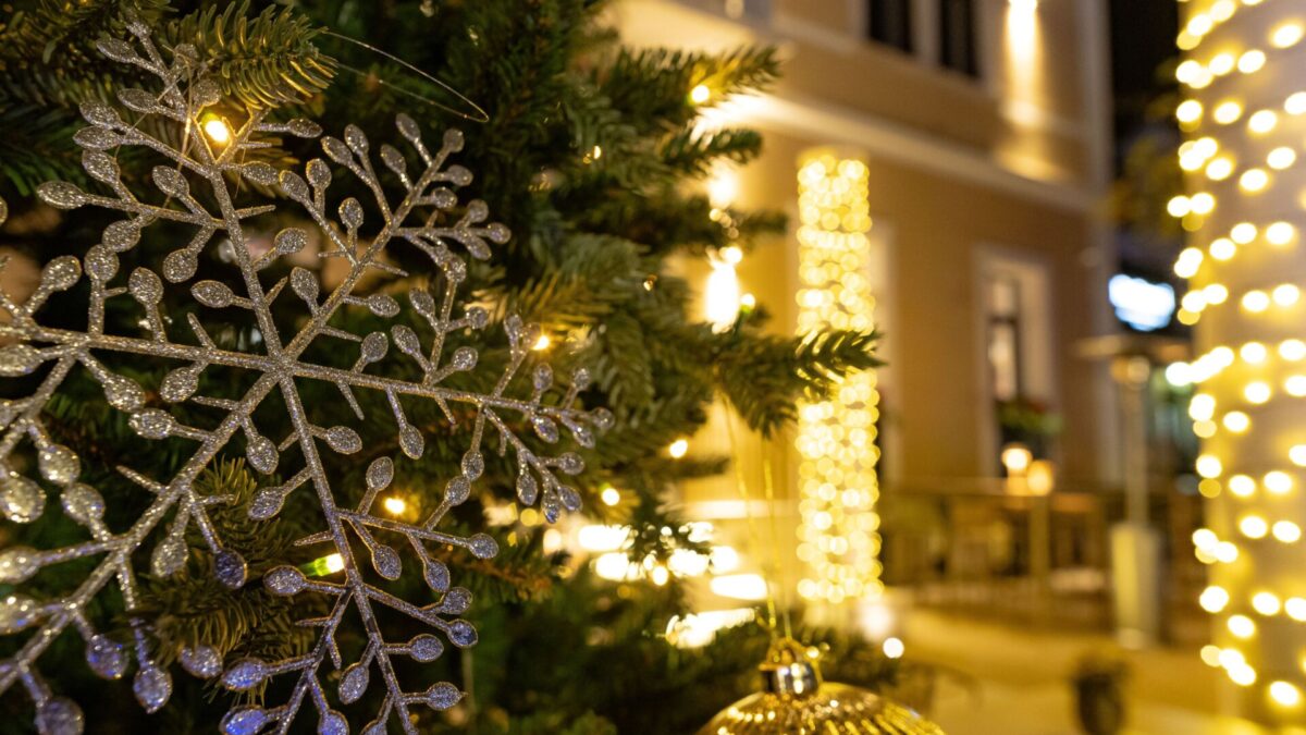 20231221 - Martina Žerjal @Degrassi-27 MIN