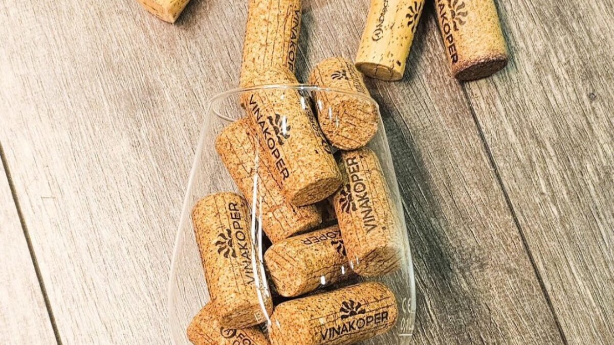 GLASBENI VEČER Vinakoper x DeGrassi 2